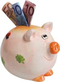 Sparschwein mit Geldscheinen